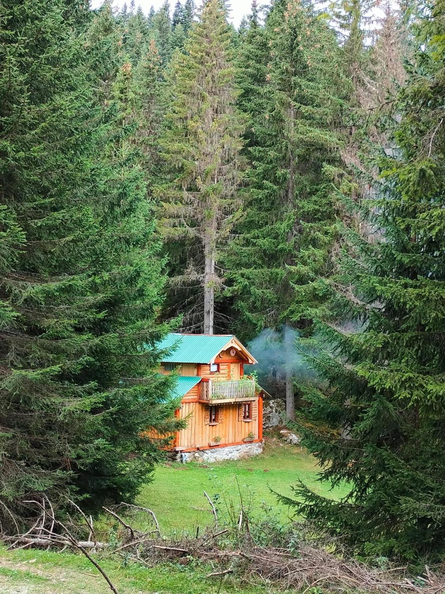 Вілла Isov Ranch Плав Екстер'єр фото